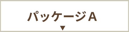 パッケージA