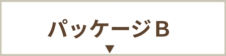 パッケージB