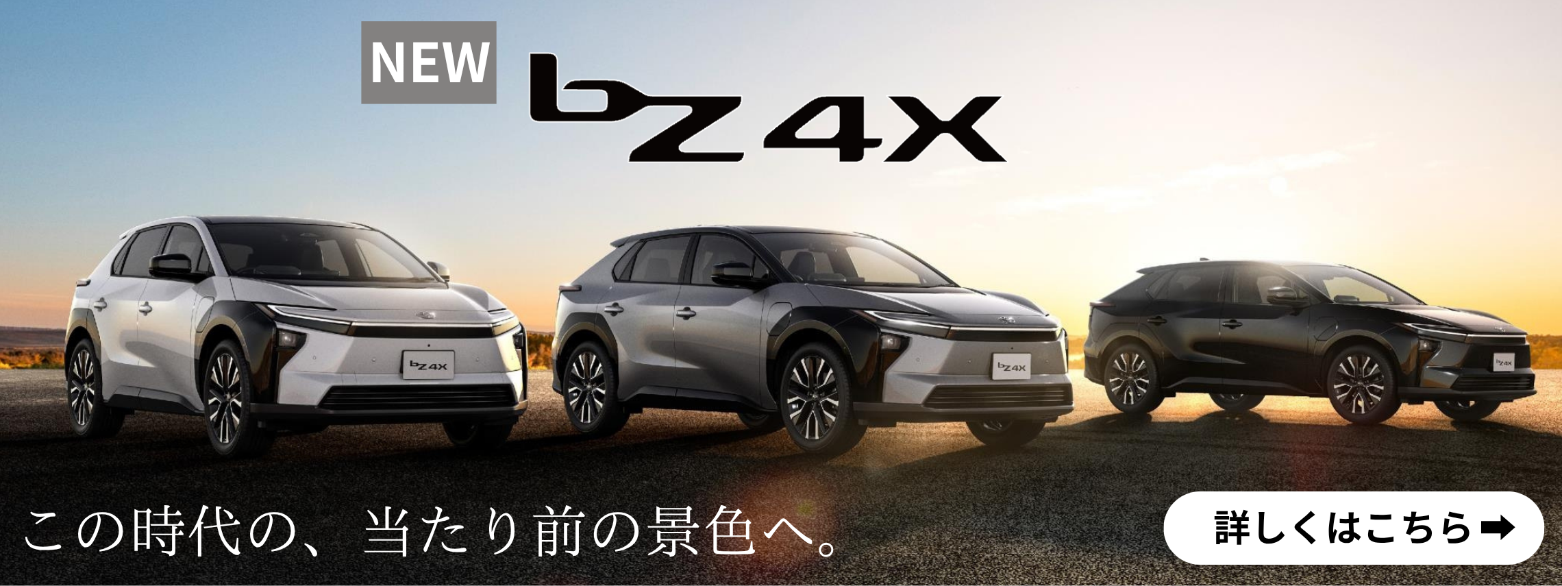 HP用